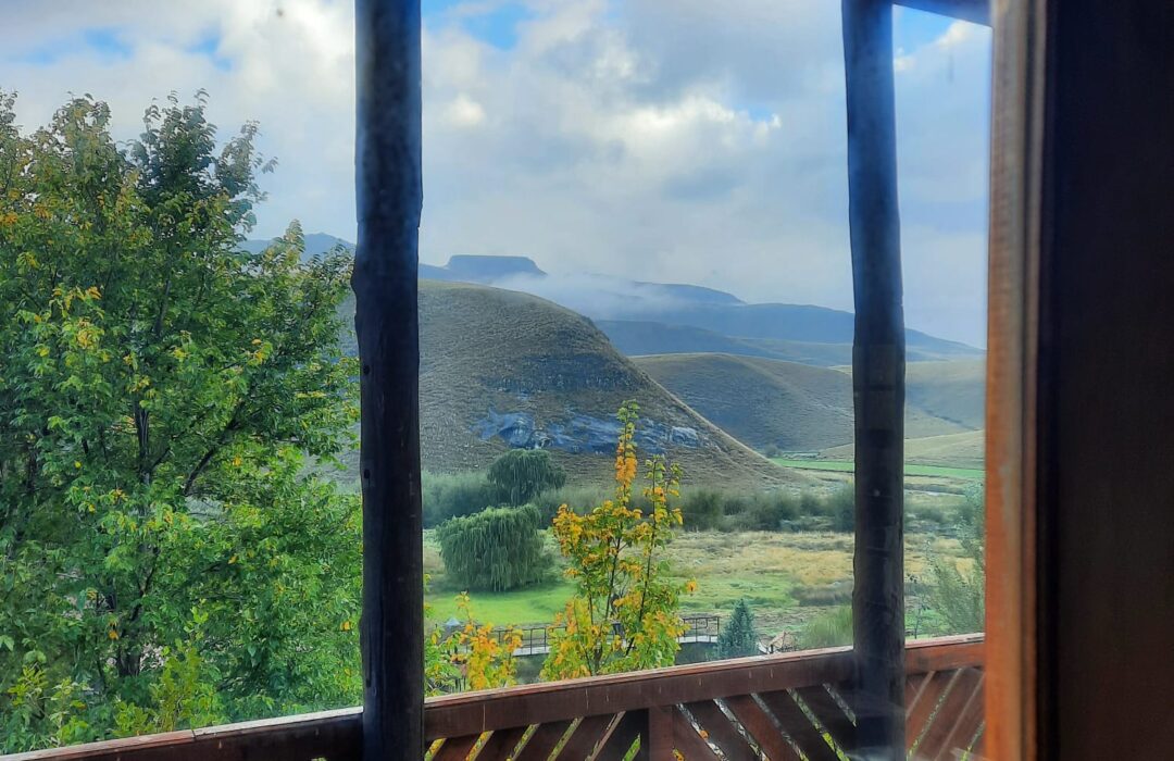 Alpine Swift View From Verandah Window