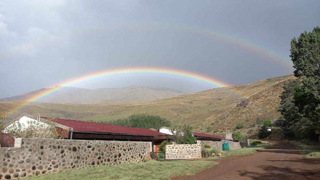 Rainbow over Alpine Swift