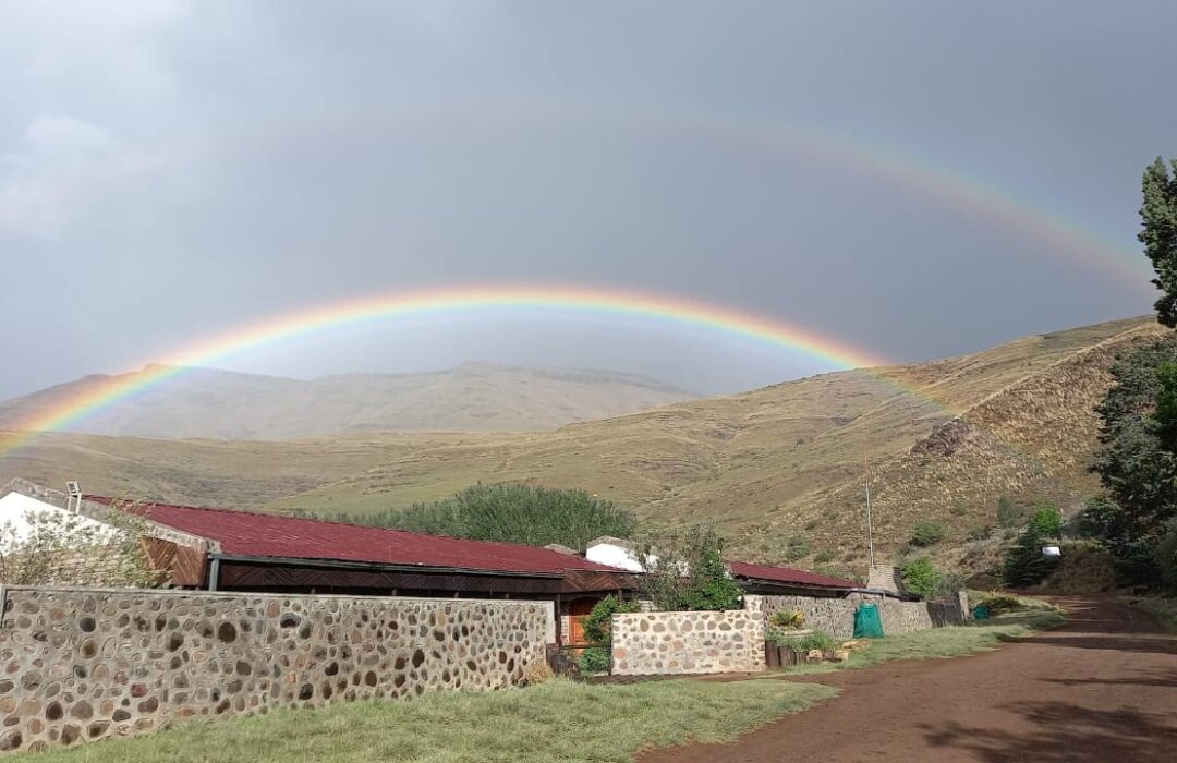 Rainbow Over Alpine Swift